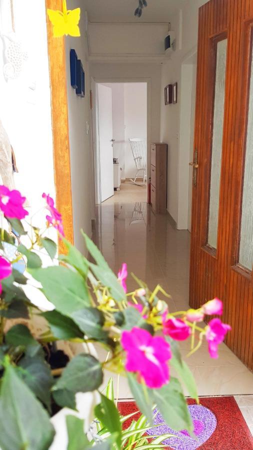 Apartmani Crikvenica 30098 - Dijana Cameră foto